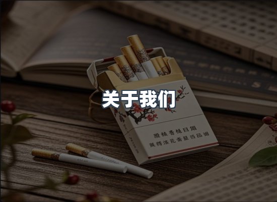 关于我们
